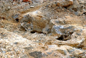 5 Pockets Located Here