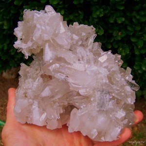 8 LB Cluster Found recently