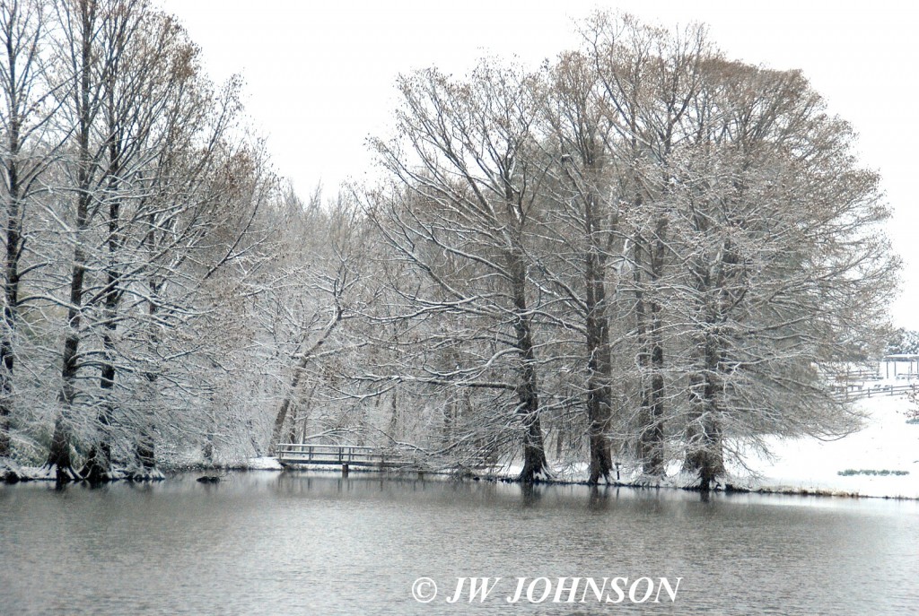 Arboretum Lake and Footbridge