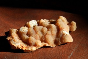 Beautiful Plate Found 2