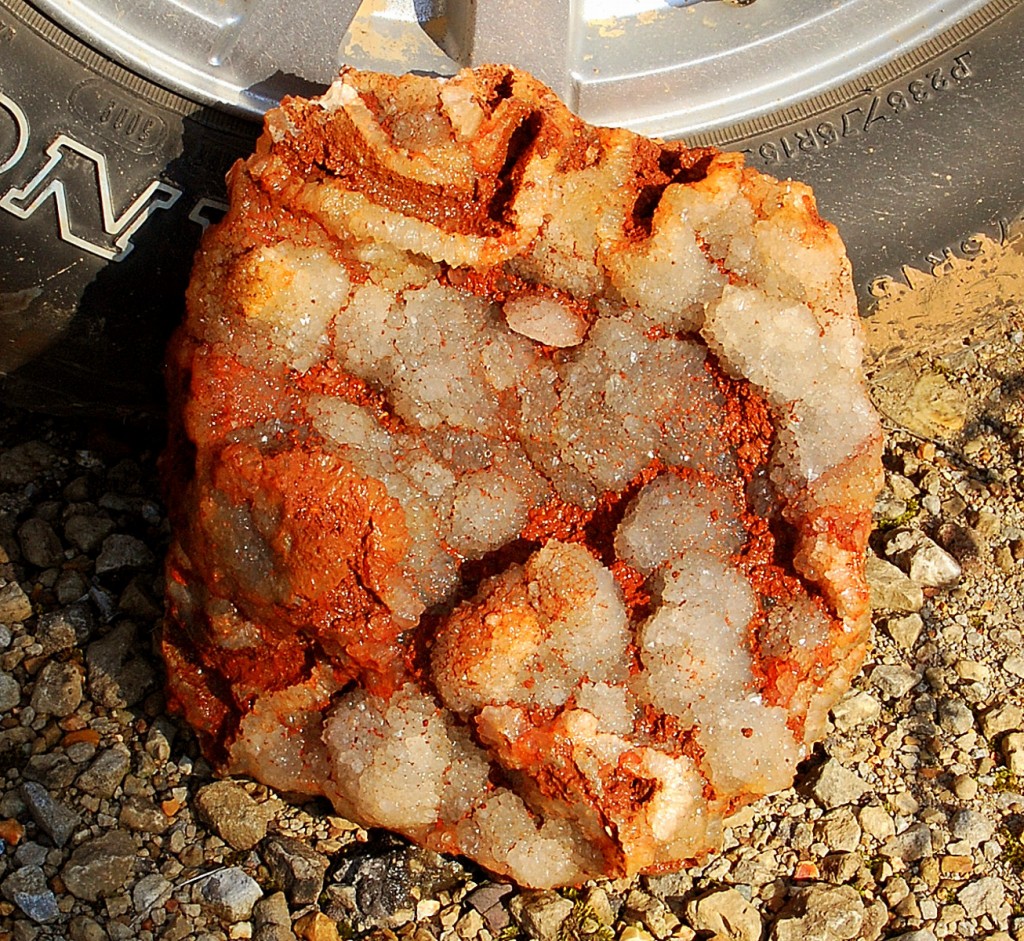 Blue Druse Found At Carols Farm Day Before