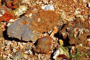 Blue, Yes They Are Blue