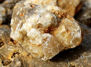 Center Prize Up Close