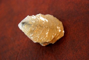 Cleaned Up Single Yellow Dark Tip