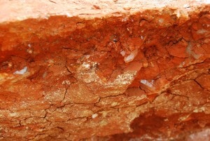 Crystals on Overhang of Boulder