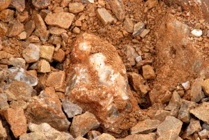 Docia Dug This One OUt