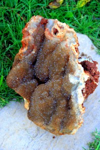 Docia Found This One For Me