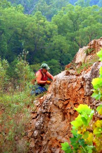 Docia Looking for Plates of Druse