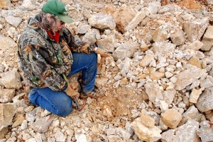 Docia Spotted This one