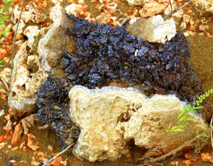 Druse Covered In Hematite