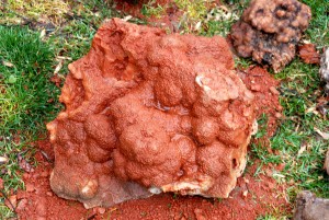 Druse Located Near Quarry