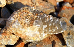 Expanding Pocket Produces This Large Poker Chip