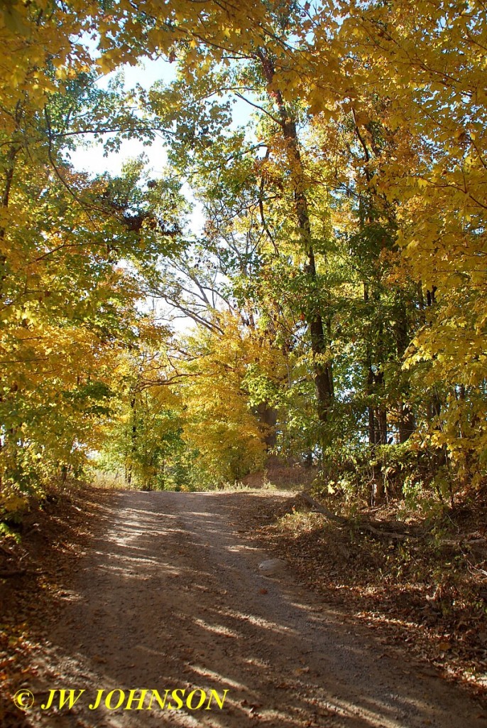 Fall Color on Road to the Mines