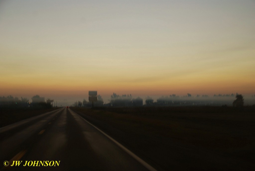 Farm South of Charleston in Fog