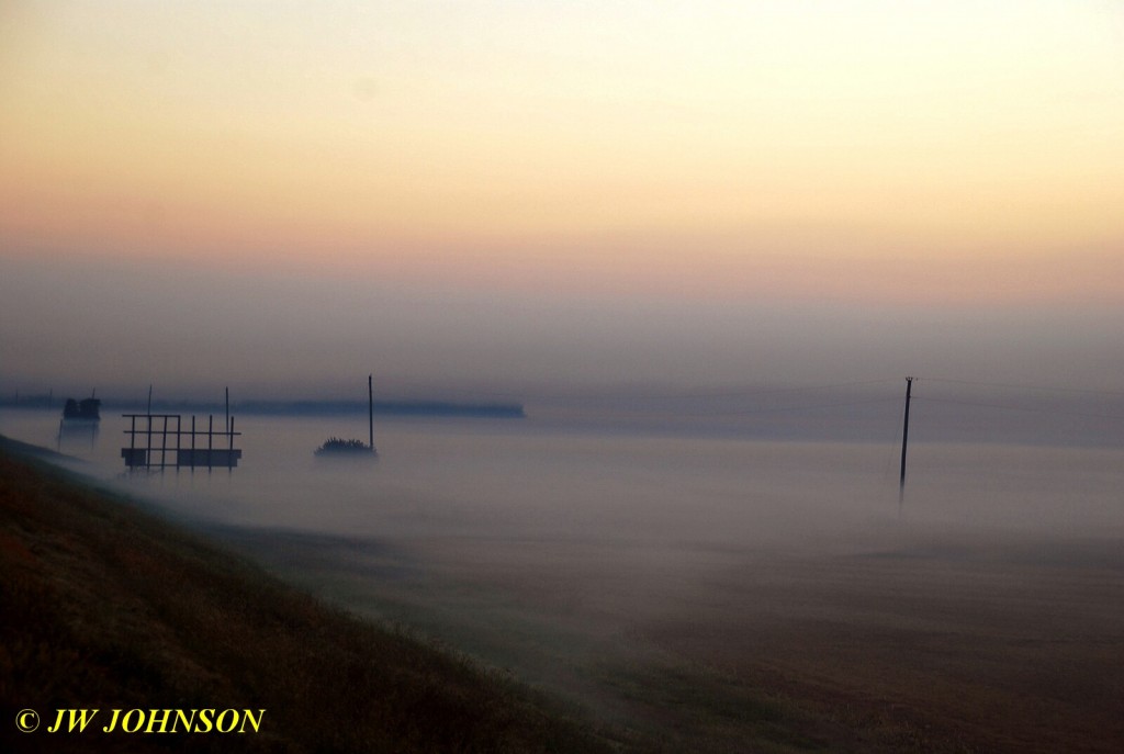 Fog in Fields Near Charleston