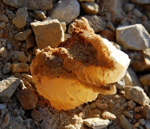 Gorgeous Poker Chip on Matrix From Pocket