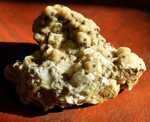 Gray Druse with Limonite Balls