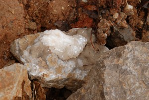 Hiding Behind the Big Rock Up Close