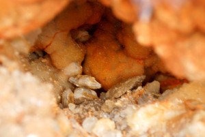 Interior of Bluff Pocket