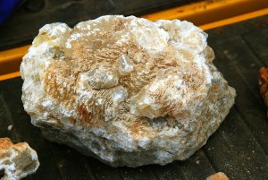 Large Poker Chip Chunk