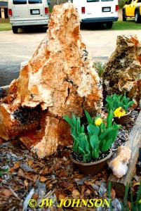 Large Yardrock Skeletal Quartz Backside