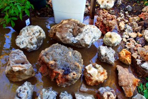 Larger Ones Cleaned Up