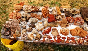 Left Half Of Table Set Up