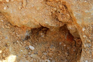 Pocket Begins To...Chips All Over