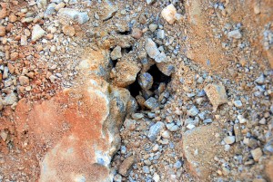 Pocket Expands to Second Pocket