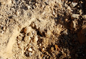 Pocket Starts Producing