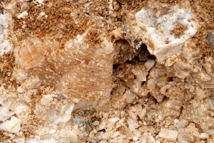 Poker Chips in Pocket