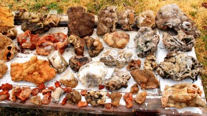 Right Half Of the Table Set Up