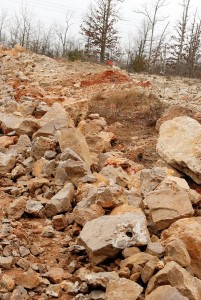 Roadway in and First One Spotted