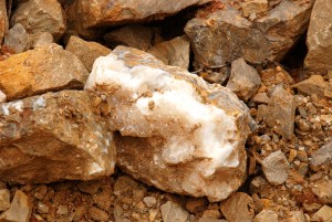 Sitting Pretty Up Close