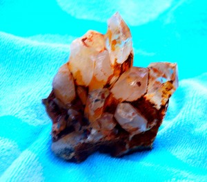 Small Cluster I Dug From Dirt Pile 2