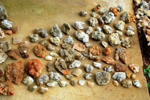 Smaller Plates Found