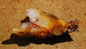 Sometimes You Just Never Know Until You Clean It Up