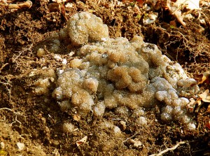 Then Ralph Uncovered It More