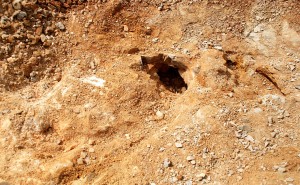 Two New Pockets Uppper Right Corner