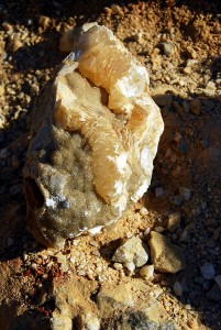 Upper Right Corner Beauty 3