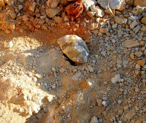 Upper Right Corner Beauty