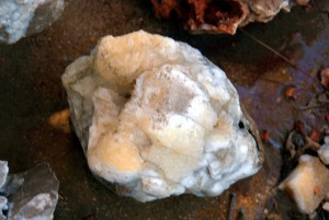 Yellow Poker Chip Chunk