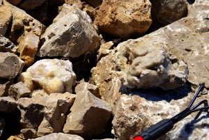 Yellow Poker Chip Chunk Spotted