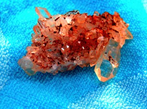 small cluster found in dirt