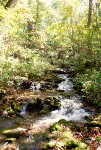 65 Waterfall At Mill Spring Mill