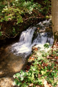 66 Waterfalls At Mill Spring Mill