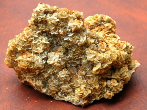 15 Calcite Cluster Found in Bluff Pocket