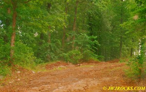 02 Road to Bear Mtn Mine