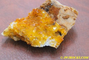 Plate of Golden Healer Crystals Found