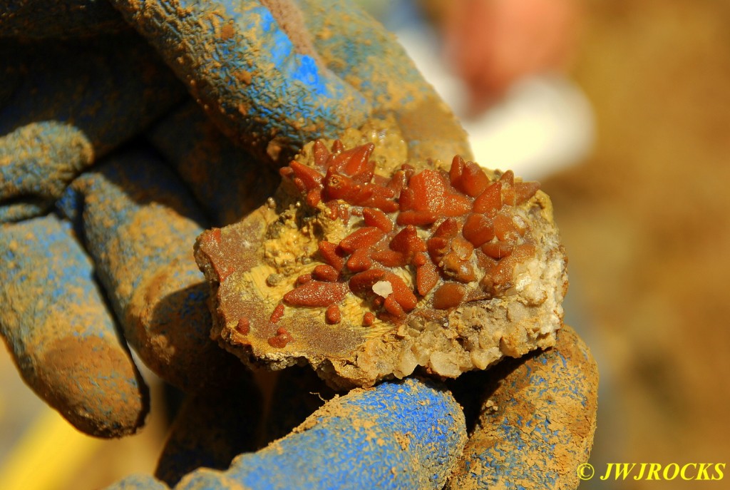 32 Plate Dogtooth Crystals David Found